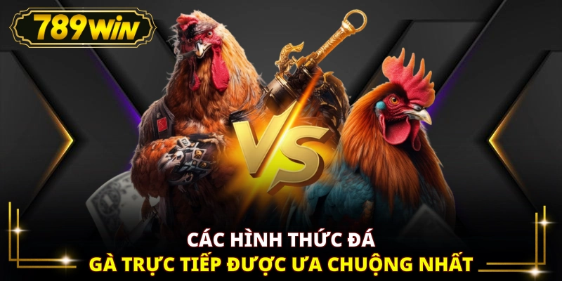 Các hình thức đá gà trực tiếp được ưa chuộng nhất