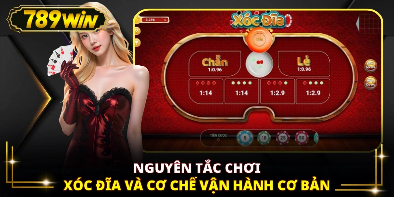 Nguyên tắc chơi Xóc đĩa và cơ chế vận hành cơ bản