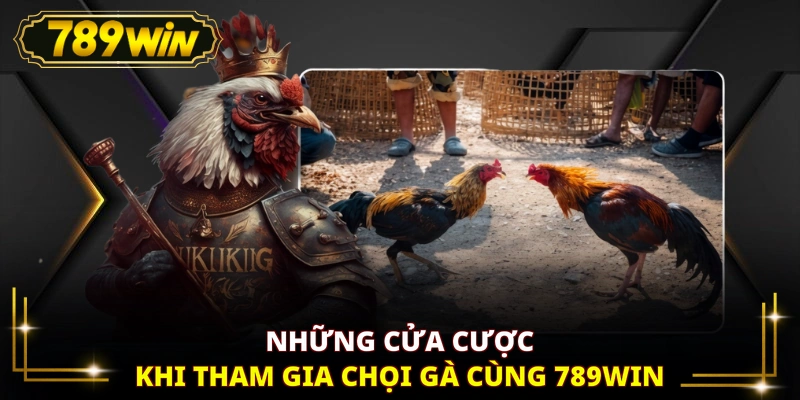 Những cửa cược khi tham gia chọi gà cùng 789WIN
