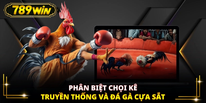 Phân biệt chọi kê truyền thống và đá gà cựa sắt